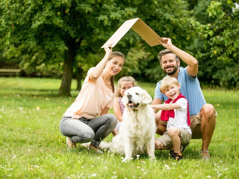 Holding Familiar e Planejamento Sucessório: Como Garantir a Continuidade dos Negócios da sua Família